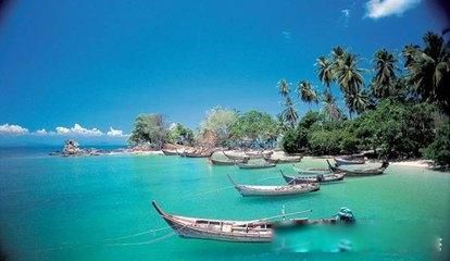 ̩�����ι��Ա�ȥ���� ֵ��һȥ�ľ���ܶ�