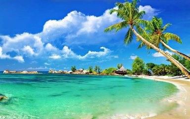 ̩�����ι��Ա�ȥ���� ֵ��һȥ�ľ���ܶ�