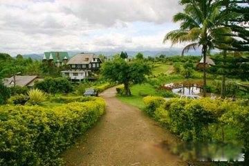 ̩�����ι��Ա�ȥ���� ֵ��һȥ�ľ���ܶ�