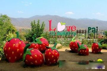 ̩�����ι��Ա�ȥ���� ֵ��һȥ�ľ���ܶ�