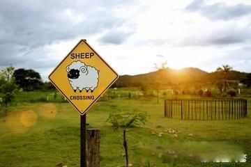 ̩�����ι��Ա�ȥ���� ֵ��һȥ�ľ���ܶ�