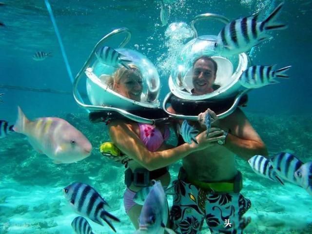 ̩�����ι��Ա�ȥ���� ֵ��һȥ�ľ���ܶ�