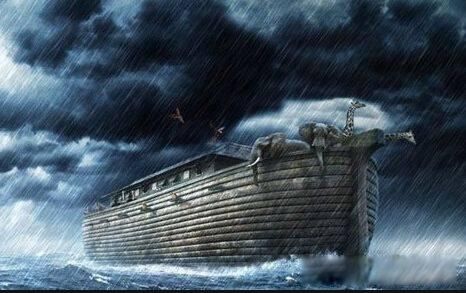 ŵ�Ƿ��۵Ĺ��� ��������һ�������е�ϣ��