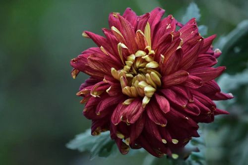 ����е�������� ������ܼ޸��������