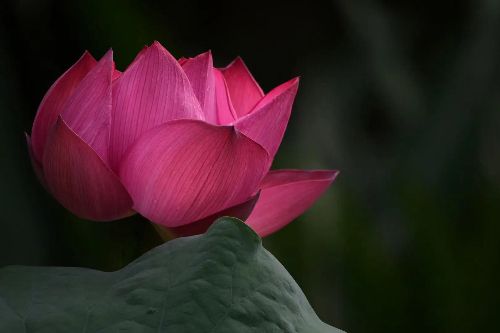 ����е�������� ������ܼ޸��������