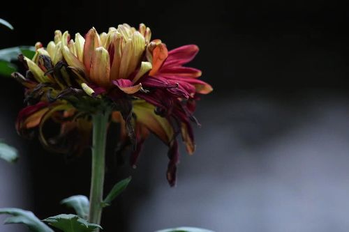 ����е�������� ������ܼ޸��������