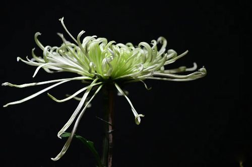 ����е�������� ������ܼ޸��������