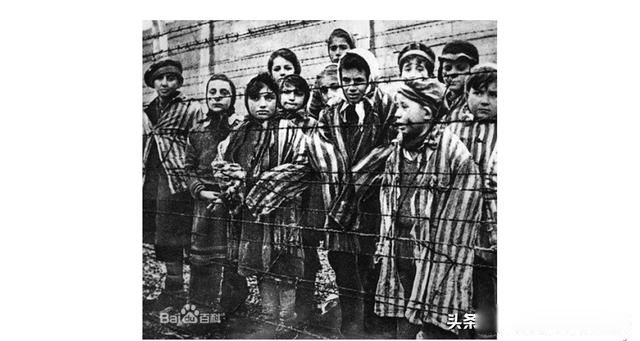 Ϊʲôȫ���綼�����̫�� ŷ���˺���̫����Ҫ���ڽ�ԭ��