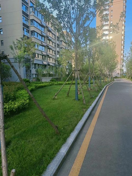 �зŮ��ʲô���ӵ� 4�������ص���