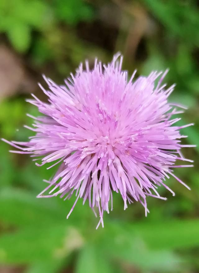 ١����Ϊʲô��Ļ� �ӳ�˼�ϳ����Ӧ�ý�����