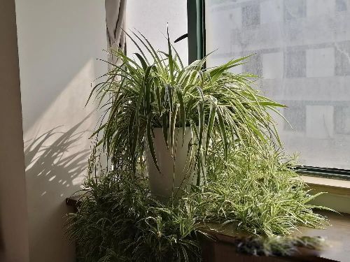 ���˲���Ů�˲��� Ů�˶�ϲ�����˻�������