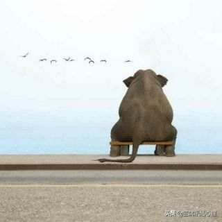 ���˲���Ů�˲��� Ů�˶�ϲ�����˻�������