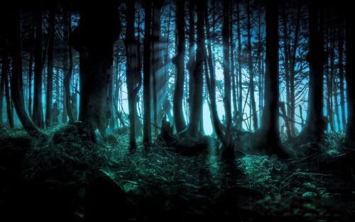 �������й�����ʵ�� �ö������ѧ�ǽ��Ͳ��˵�