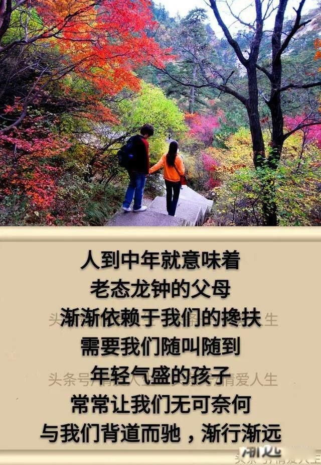人到中年,深度感悟(很经典) 应该明白的道理很多