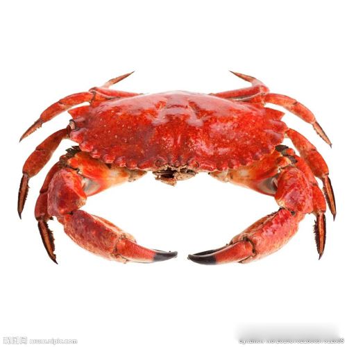 �зŮΪʲô���������������� ���������˻���Զ���