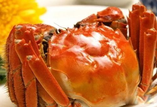 �зŮΪʲô���������������� ���������˻���Զ���