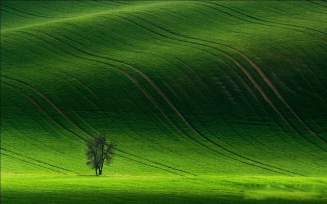 ��������ǰ����������Щ ������Щ�쳣�����׵�