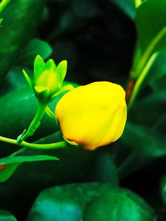 ��������ǰ����������Щ ������Щ�쳣�����׵�