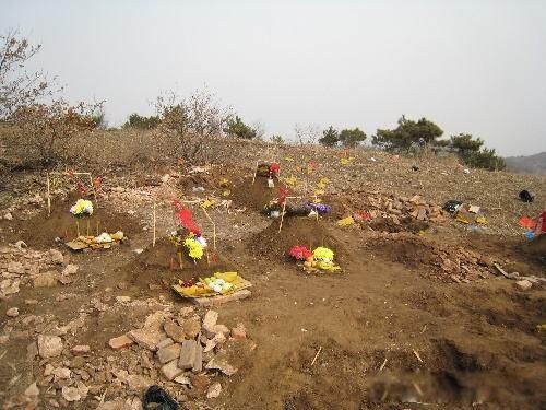 ѳ����ʲô��˼ ����ѳ��Ϊ����������ͣͣ