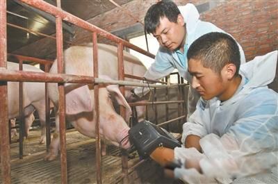 ������������ʲô��˼ ��ʵ����һ�����ݵĻ�