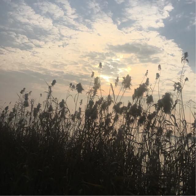 ����ʧ�ܵ��������ԭ�� ��Դ������ȱ��ս���۹�