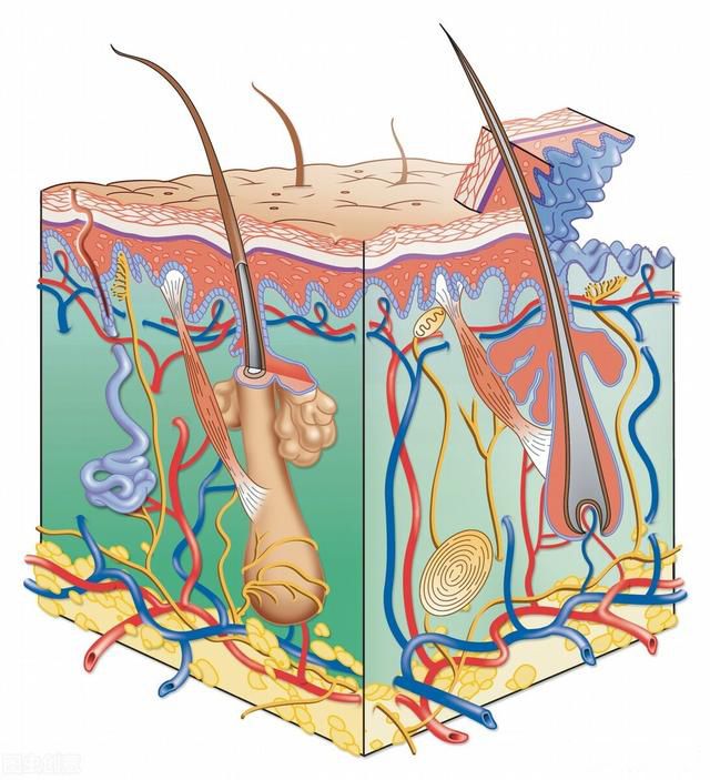 ����˹Ů���к����� 90%��ŷ���˶��к���