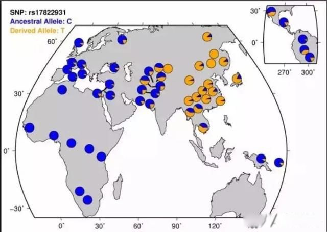 ����˹Ů���к����� 90%��ŷ���˶��к���