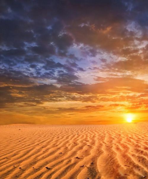 ������������ʲô���� ������Ҫ��������������