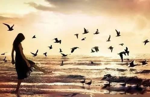 ������������ʲô���� ������Ҫ��������������