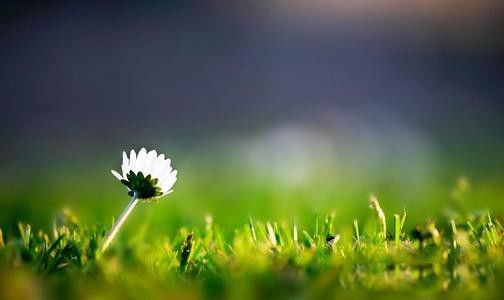 ������������ʲô���� ������Ҫ��������������