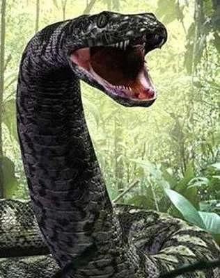 ������������ ��ͼ���γɵ�ʱ��