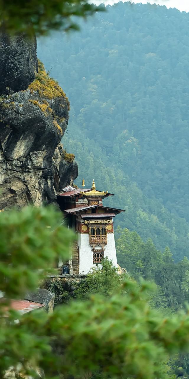 ţ��������֤���ϵ��Ǵ��ڵ� �������ϵ��ÿ�ѧ֤��