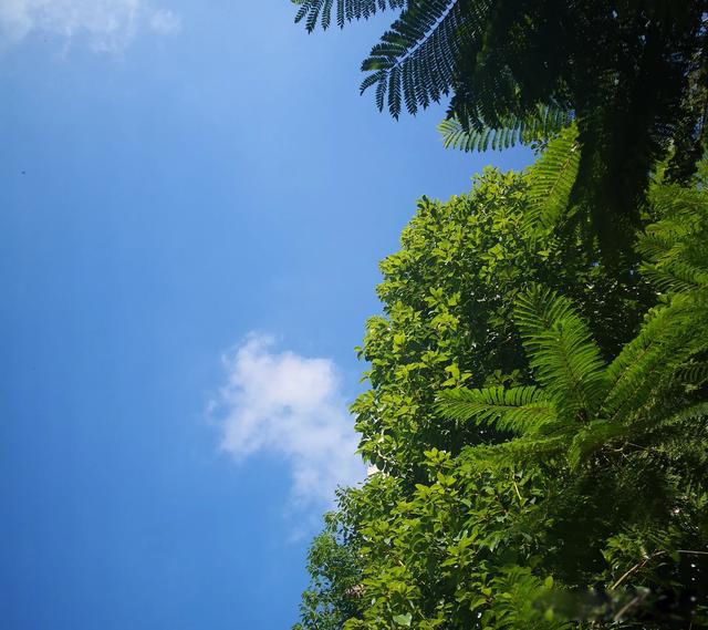 ţ��������֤���ϵ��Ǵ��ڵ� �������ϵ��ÿ�ѧ֤��