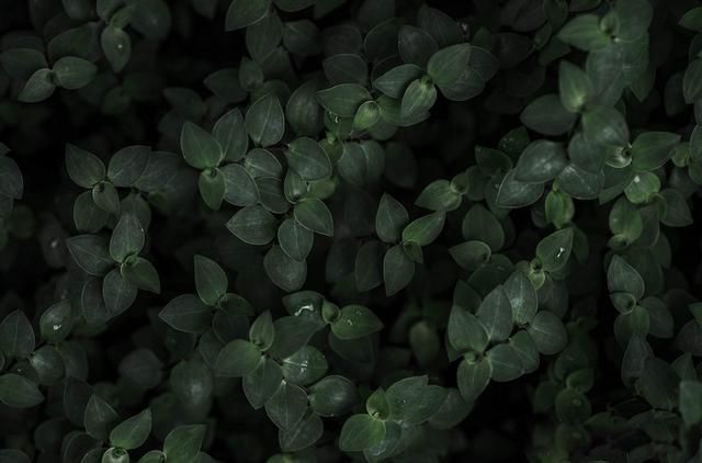 ţ��������֤���ϵ��Ǵ��ڵ� �������ϵ��ÿ�ѧ֤��