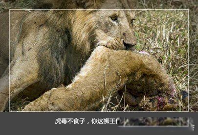 秦始皇为什么不立皇后 压根就没想设皇后