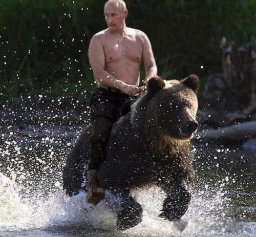 ����˹Ϊʲô��ս������ ԭ����Ƕ���˹�˻���