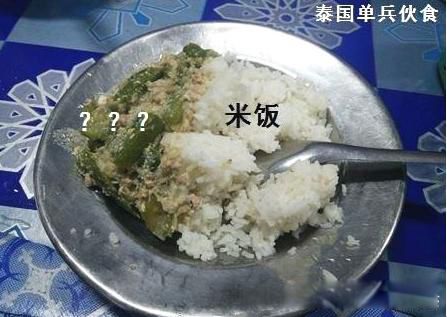 ̩����Ϊʲô��Ը�⵱�� ̩��ʿ���Ĵ����ر��