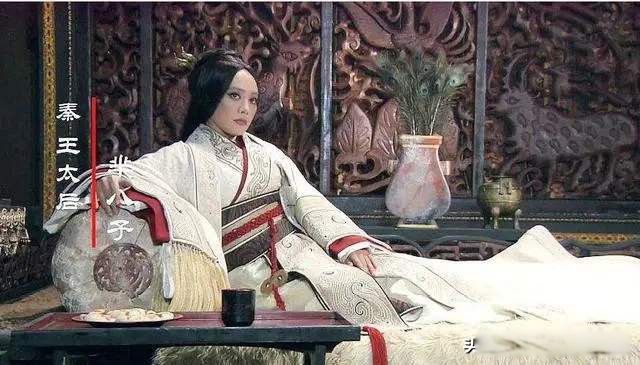 宣太后是秦始皇的什么人 芈月是秦始皇的高祖母