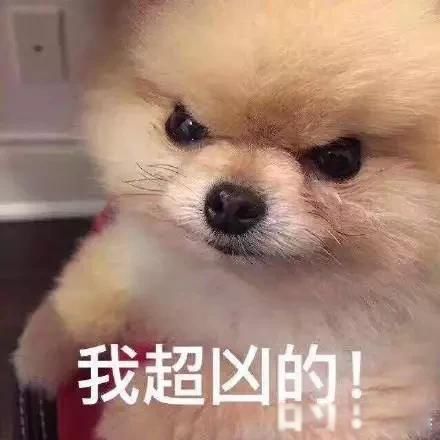 С�̹���ʲô���͵����� ָ�������˵�һ������