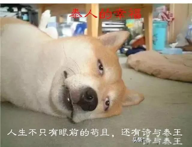泰国人妖是怎么形成 美国大兵喜欢在泰国招妓