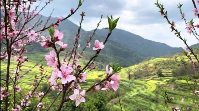 �˷���,�ط���,�취��,������Ȼ ����һ�ֻ�Ȼ��ɵĶ���