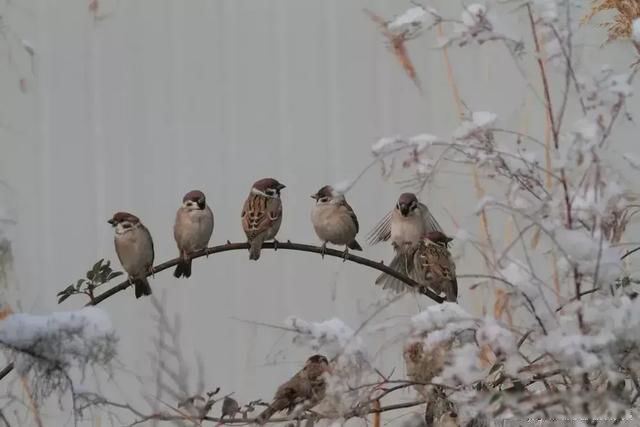 �������¼�ʼĩ ������ż������һ��