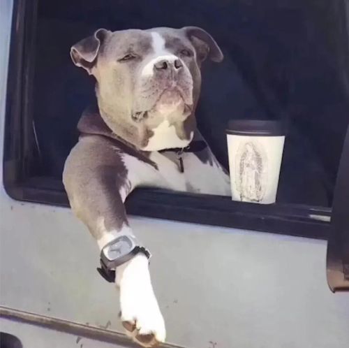 ҹ��Ů�����չ��� ���Ǹ��𰸺ܶ�Ԫ