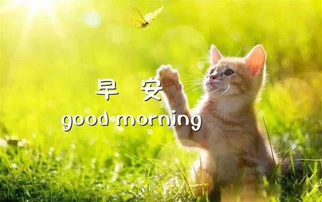 扶弟魔是什么意思 对弟弟的帮助已达魔性