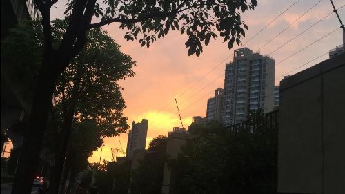 中央空调男生啥意思 现在新的代替词语叫海王