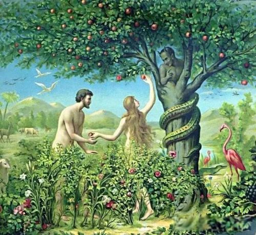 诺亚方舟是什么意思 圣经里出现的一个故事