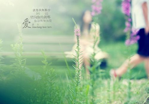 ������ʲô��˼ ��ò��Ȼ����������Щ����