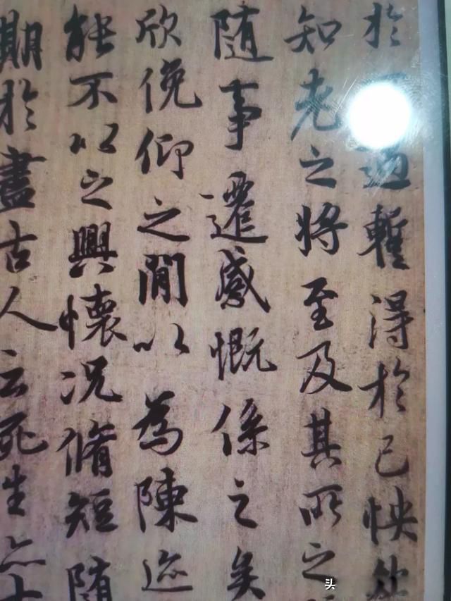 ��ͤ��Ϊʲô�����µ�һ���� Ϊ��������ī����ϲ��