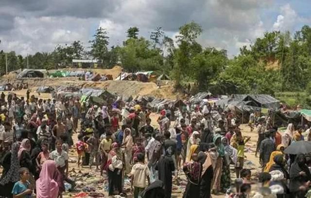 ��鱱����������Ƶ������� ���ְ����ż�����