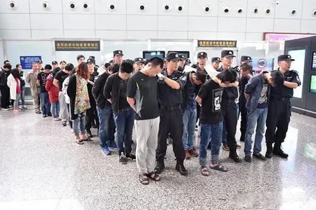 ��鱱����������Ƶ������� ���ְ����ż�����